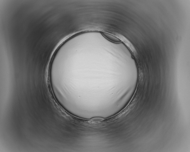 X0000113041052200909171517