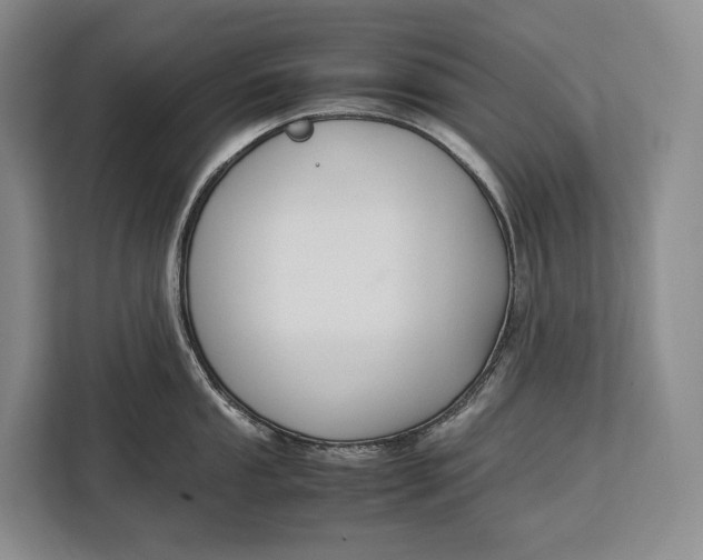 X0000113041053200909171517