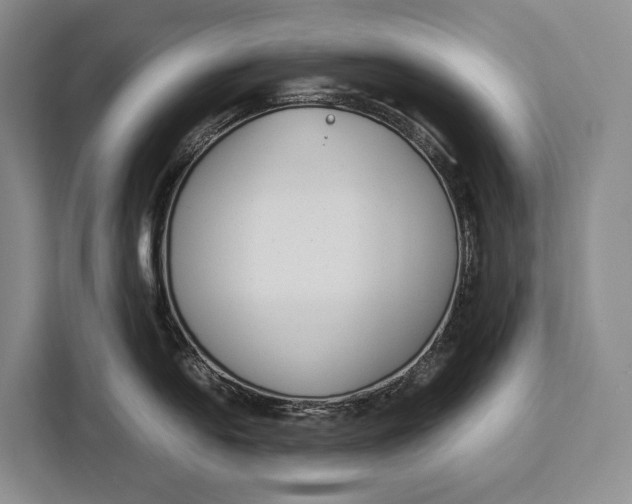 X0000113041054200909171517
