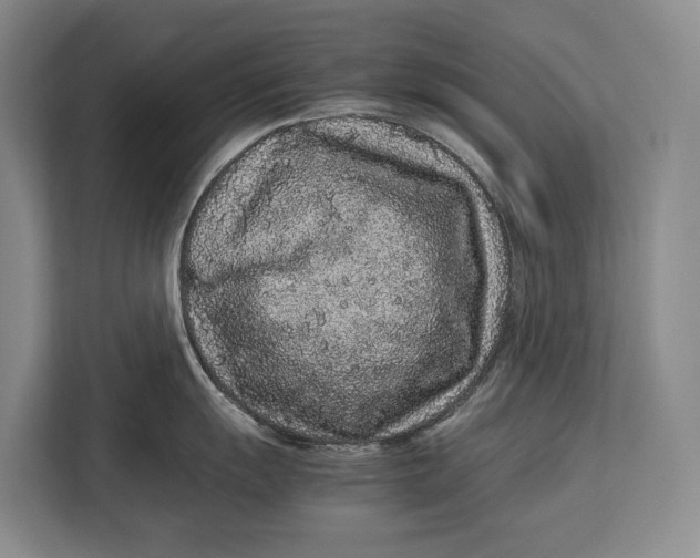 X0000113041055200909171517