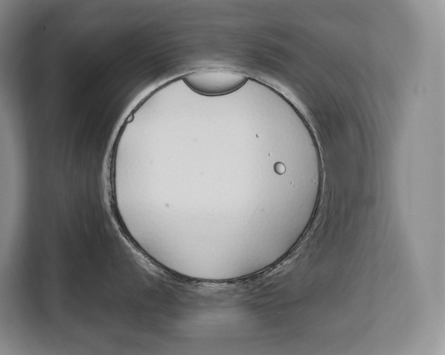 X0000113041056200909171517