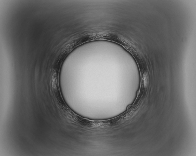 X0000113041059200909171516