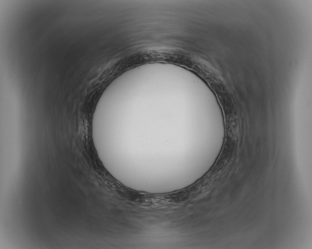 X0000113041061200909171516