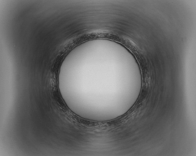 X0000113041062200909171516