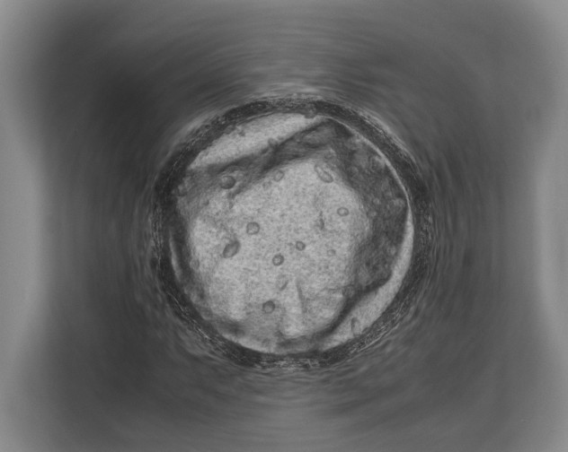 X0000113041063200909171516