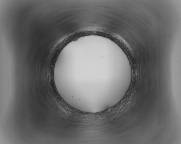 X0000113041064200909171516