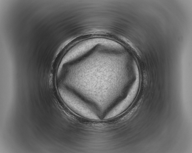 X0000113041066200909171516