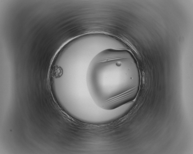X0000113041068200909171516
