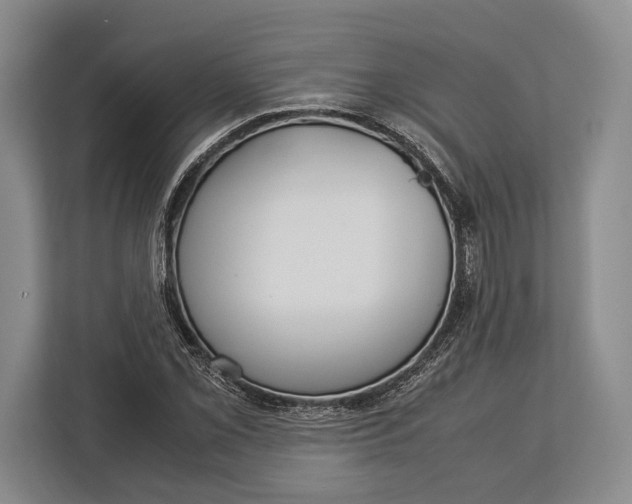 X0000113041069200909171516