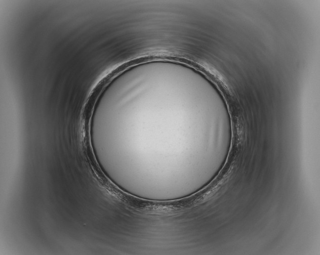 X0000113041070200909171516