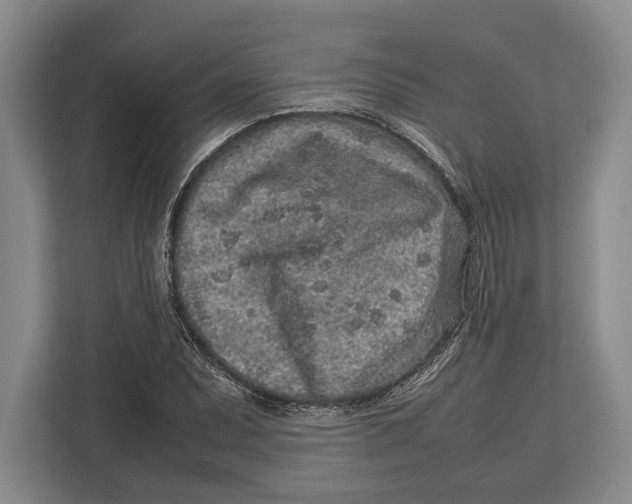 X0000113041071200909171516