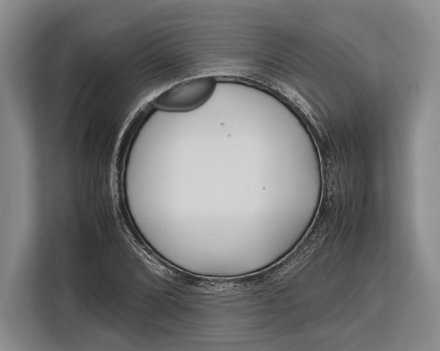 X0000113041072200909171516