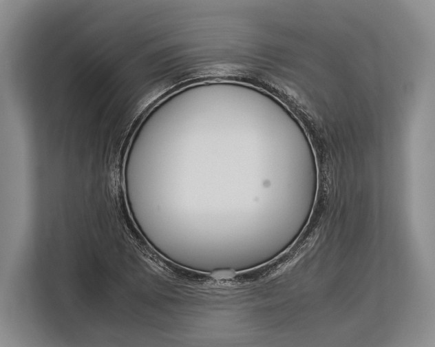 X0000113041073200909171516