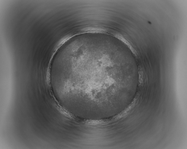 X0000113041074200909171516