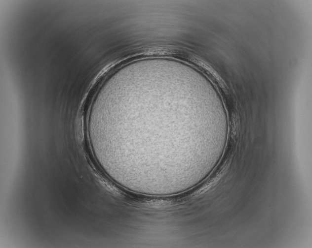 X0000113041075200909171516