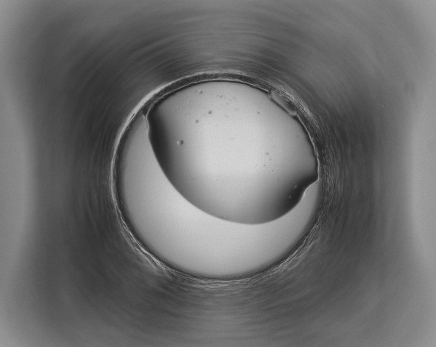 X0000113041076200909171516