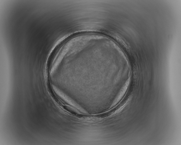 X0000113041077200909171516