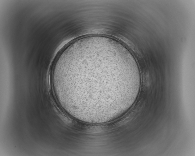 X0000113041078200909171516