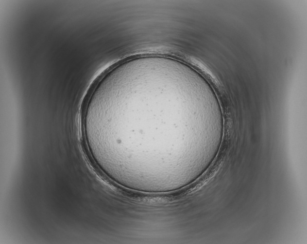 X0000113041079200909171516