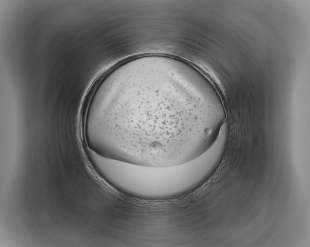 X0000113041080200909171516
