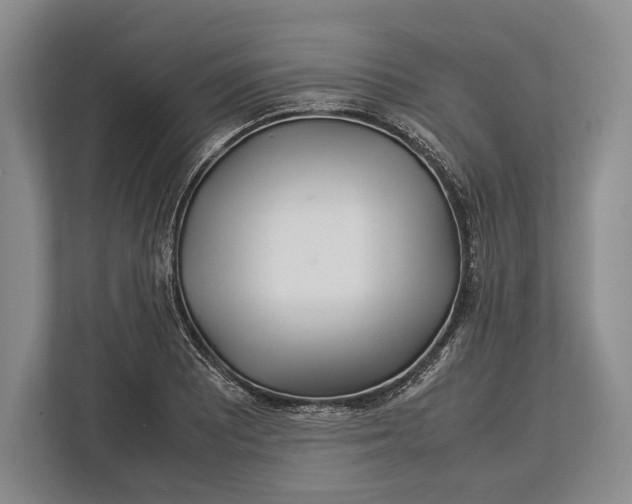 X0000113041081200909171516