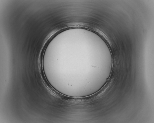 X0000113041082200909171516