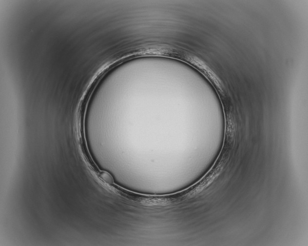 X0000113041083200909171516