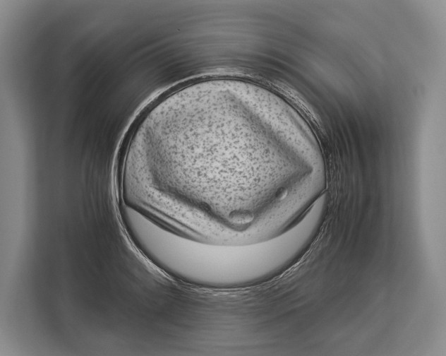 X0000113041084200909171516