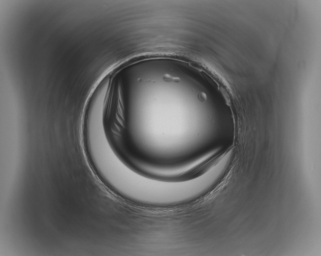 X0000113041085200909171516
