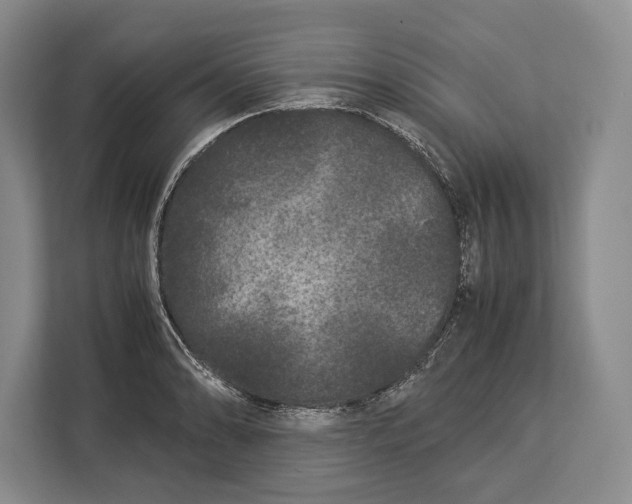 X0000113041086200909171516