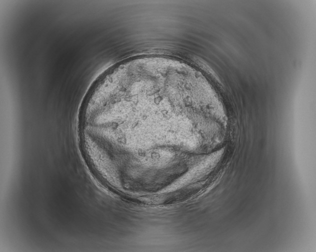 X0000113041087200909171516
