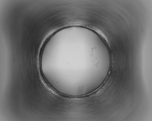 X0000113041088200909171516