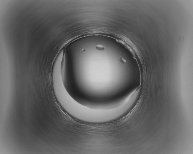 X0000113041089200909171516