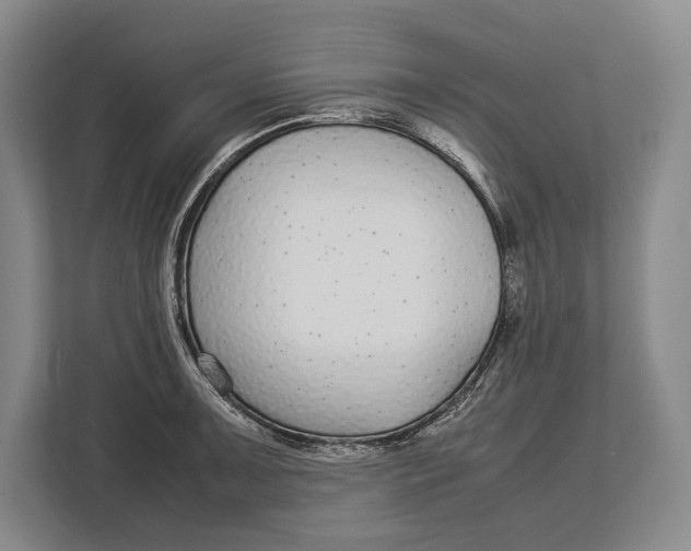 X0000113041091200909171516