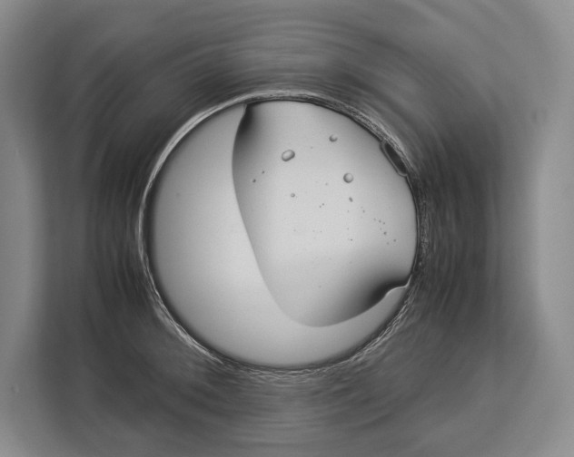 X0000113041092200909171516