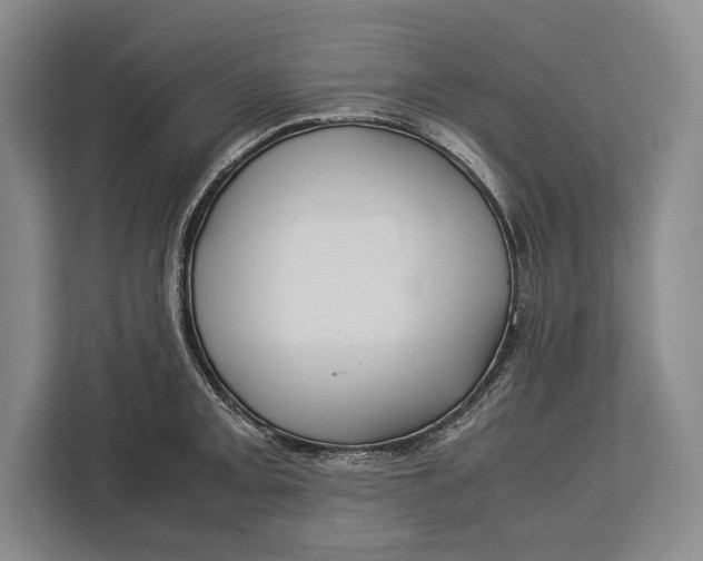 X0000113041093200909171516
