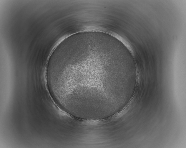 X0000113041094200909171516