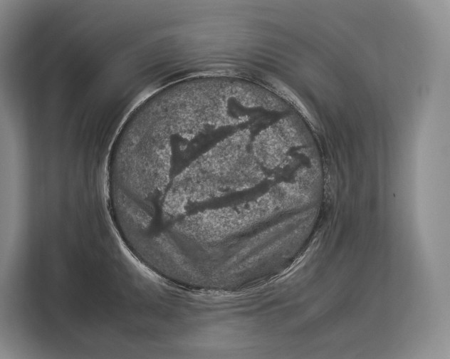 X0000113041095200909171516