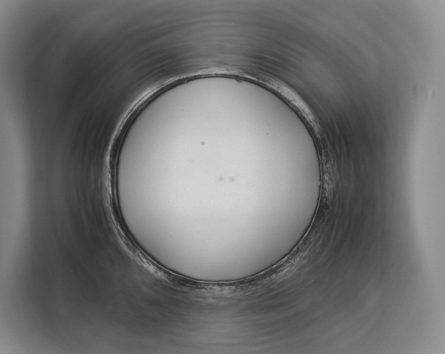 X0000113041096200909171516