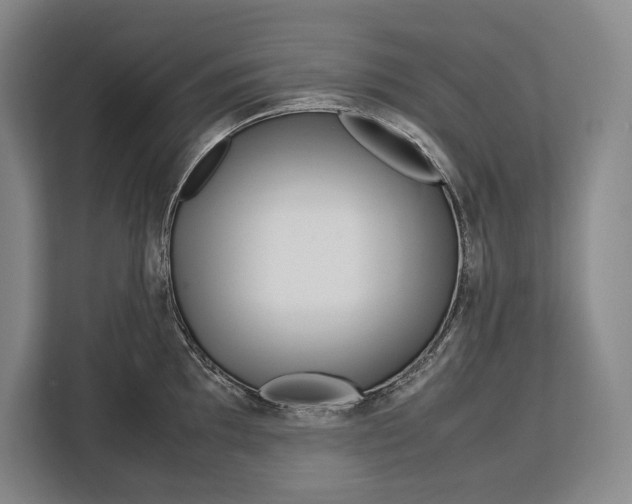 X0000113041097200909171516