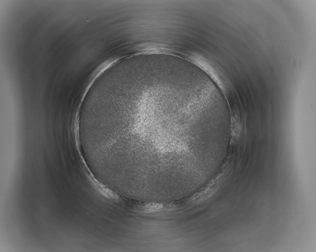 X0000113041098200909171516