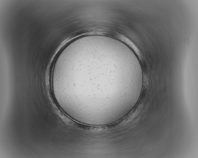 X0000113041099200909171516