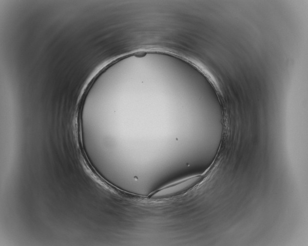 X0000113041100200909171516