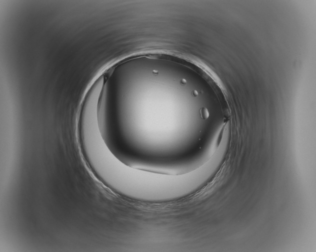X0000113041101200909171516