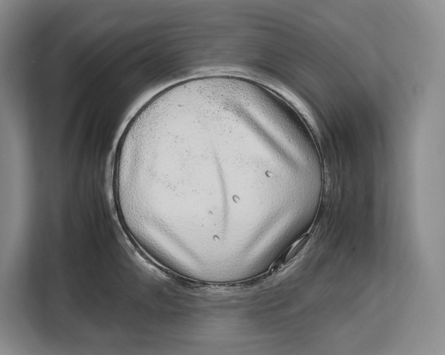 X0000113041102200909171516