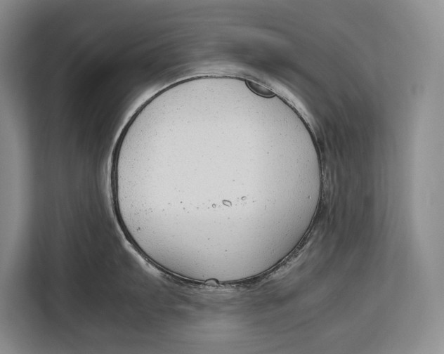 X0000113041103200909171516