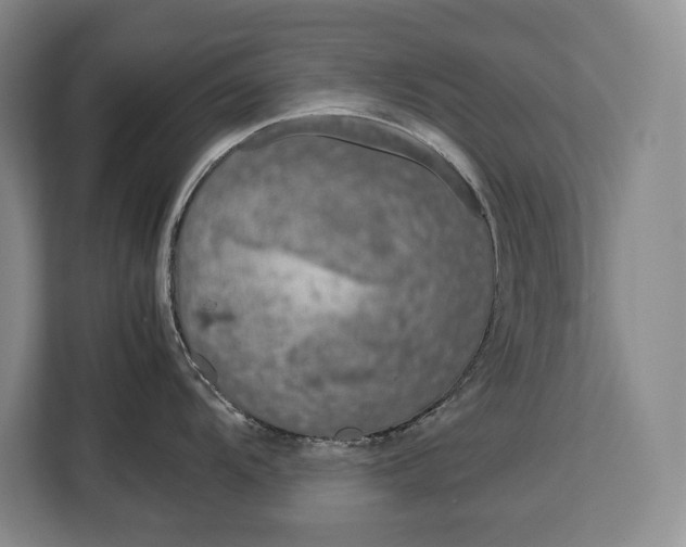 X0000113041104200909171516