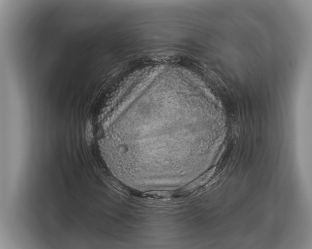 X0000113041106200909171515