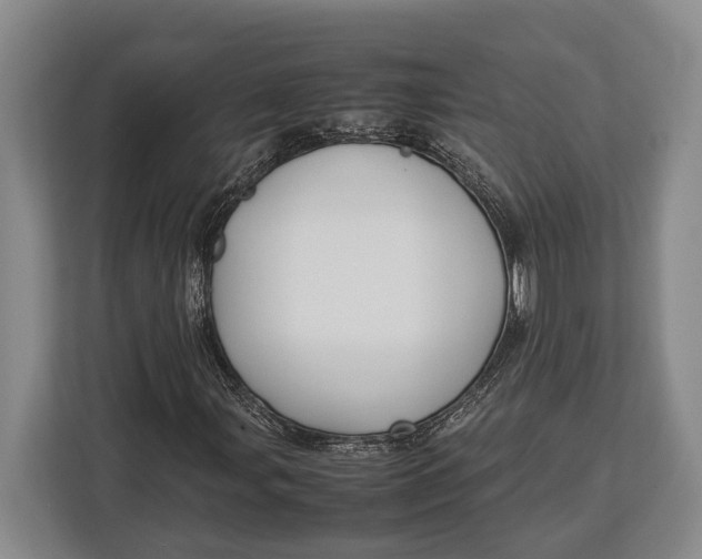 X0000113041107200909171515