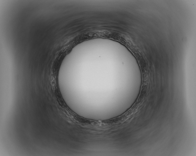 X0000113041109200909171515